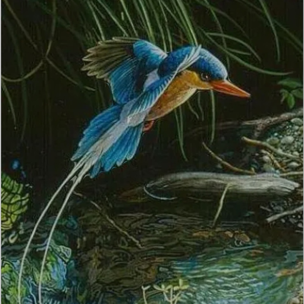 Meet your Posher, Katy